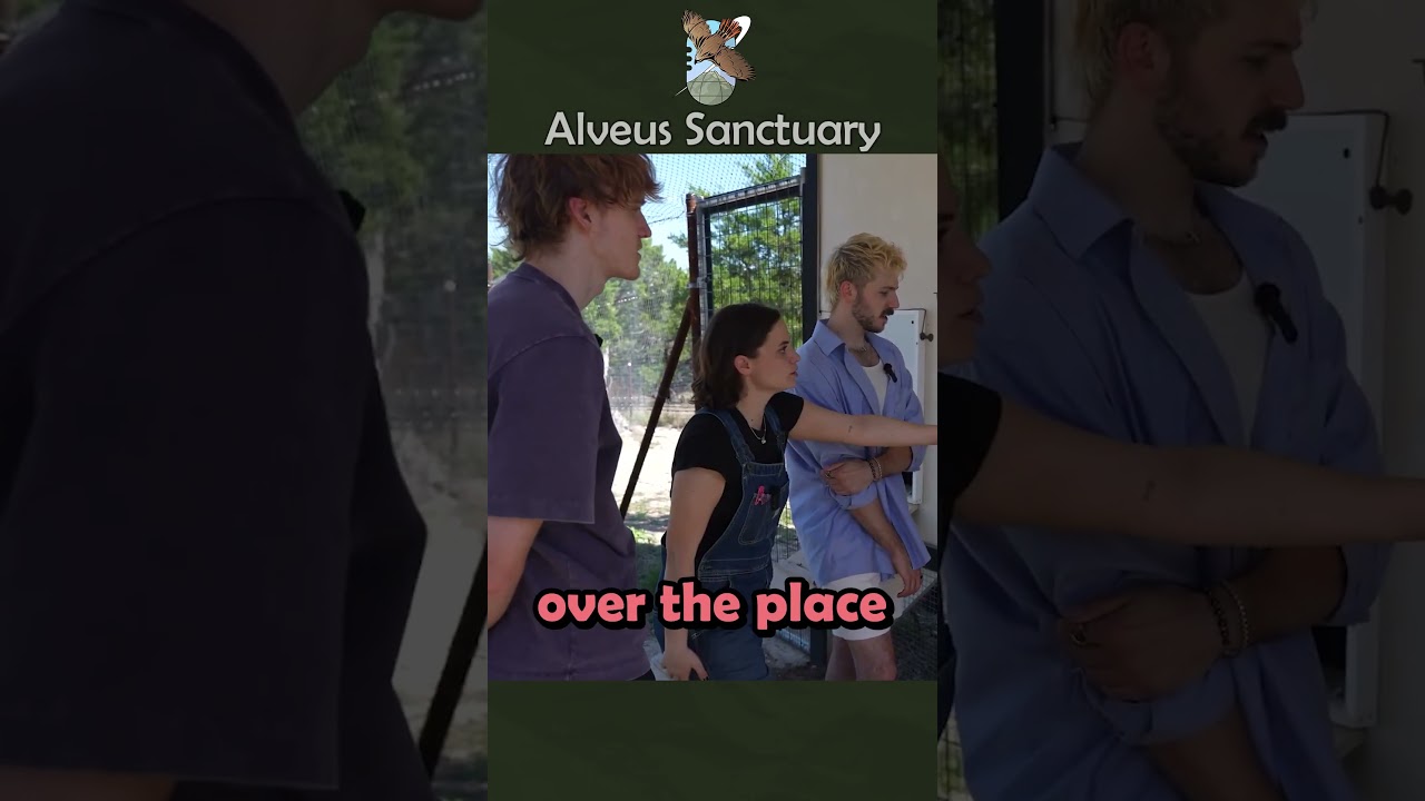Learning the different egg labels with smosh @smoshpit #smosh #mayahiga #alveussanctuary