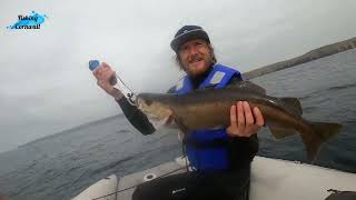 FISHING CORNWALL-JIGGING LONG SHIPS LIGHT HOUSE POLLOCK AND WRASSE