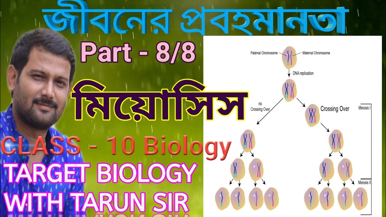 Meiosis Class 10 biology in bengali Part 8/8 unit 2 TARGET BIOLOGY YouTube