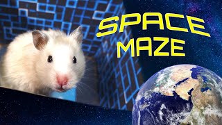Hamster in a space maze fighting the Evil Nut