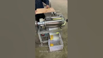 Mango pulping machine-mango pulp and core removing machine