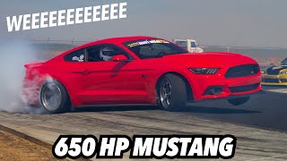 DRIFT WEEK cars are evolving! 650 hp air conditioned seats MUSTANG