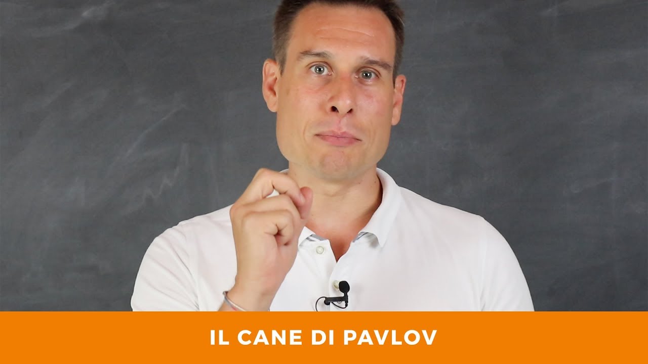 Il cane di Pavlov YouTube