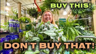 A Beginner’s Guide to Houseplant Shopping