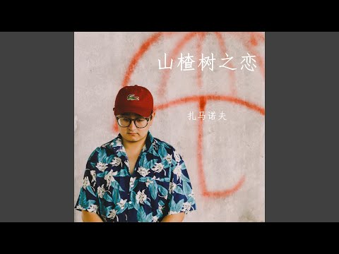 山楂树之恋
