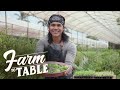 Farm To Table: Ginataang Tilapia with Singkang ala Chef JR Royol