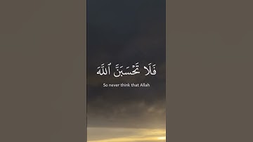 سورة إبراهيم الشيخ عبد الرحمن مسعد
