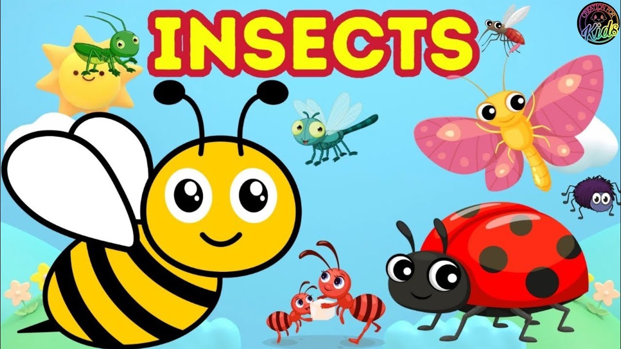 Spell Insects INSECT NAME | Insect Name With Spelling And Pictures | Creation For ...