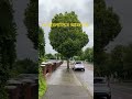 Weather in Ireland #dublin #ireland #weather #rain