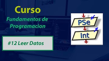 Leer Datos En PSeInt - Fundamentos de Programación #12