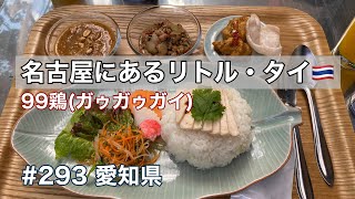 名古屋にあるリトル・タイ♪本格タイ料理の楽しめる！９９鶏（ガゥガゥガイ）【グルメ刑事の法則】愛知県／vol.293