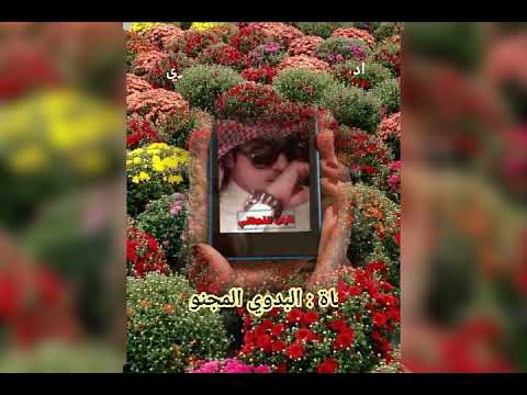 شيلة ياروح قلبي اداء حميد بن عبدان المهيمزي