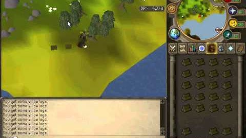 Dropping inventory of logs in 10 seconds using MouseKeys on Runescape