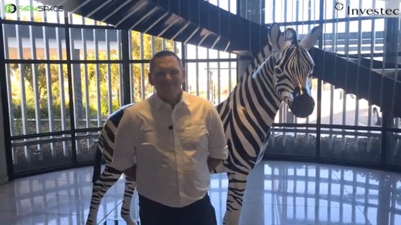 Visit Investec at the Nampo Hall, stand 26 to chat to one of our business bankers.