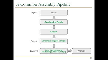P&S Genomics - Lecture 5: Building the Blueprint of Life: Genome Assembly (Spring 2024)