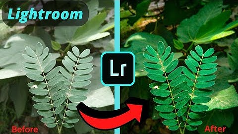 Lightroom tutorial : Moody Flower Editing || Dark Black || Lightroom Mobile Editing ||#lightroom