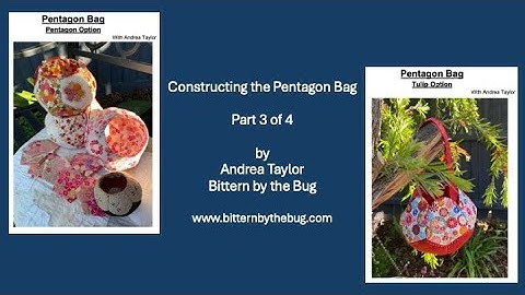 Bittern by the Bug   Pentagon Bag Part 3