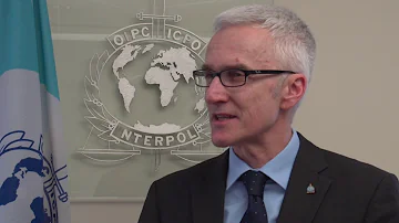 Who has access to INTERPOL databases?