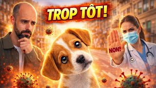 Une Erreur Qui Peut Ruiner Lavenir De Ton Chiot.