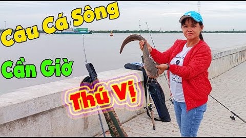 Câu Cá Sông Cần Giờ Cá Ngát Ăn Quá Mạnh | Câu Cá Tự Nhiên