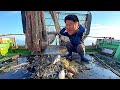 【大赤字】漁師のルールを破ってしまいました...
