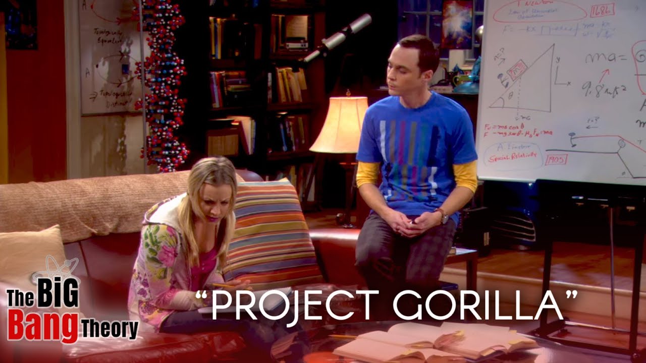 Project Gorilla | The big bang theory