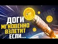 Посмотри ЭТО ВИДЕО Прежде ЧЕМ ПРОДАТЬ DogeCoin, ВОТ КАКИЕ МЫСЛИ по Doge у миллионеров ...