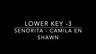 SENORITA  - LOWER KEY    - KARAOKE/INSTRUMENTAL - CAMILA CABELLO - SHAWN MENDEZ   - PIANO VERSION