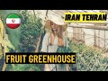 Walking tour - Walking in Iranian cities - Fruit greenhouse- Iran Tehran