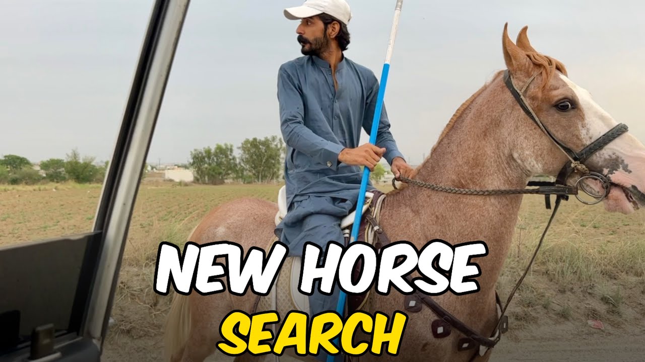 Barish Ka Mausam❤️|| Ghora Dekhny Nikal Paray✅❤️|| Best Vlog🏆