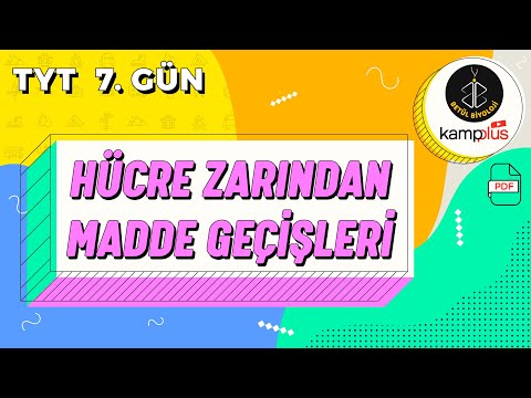 Video: Aşağıdakılardan hansı bioloji parçalana bilən tullantıdır?