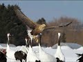 風蓮湖の歌