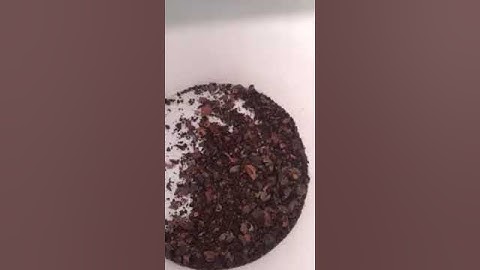 Electric cocoa sheller