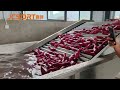 Sweet potato washing drying sorting line, sweet potato grading line, sweet potatoes packing line