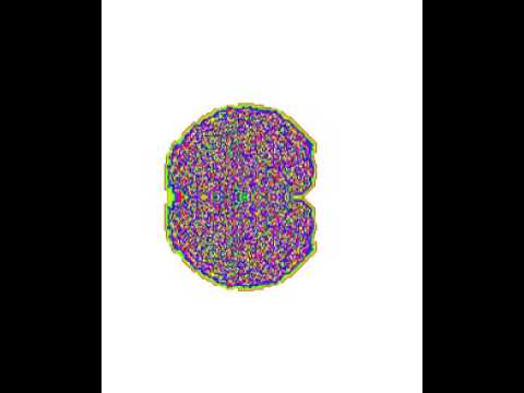 Langton's Ant, rule 52428, 16 bits.