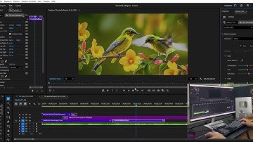 Currently Perfecting the Highest Quality Relaxing Music Videos Sent to You