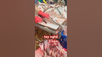 Tay nghề 3 năm Phi-Lê #CáTra! 🤟 #ViệcLàm công nhân thủy sản fillet cá tra Miền Tây #ThủySảnWork ​⁠