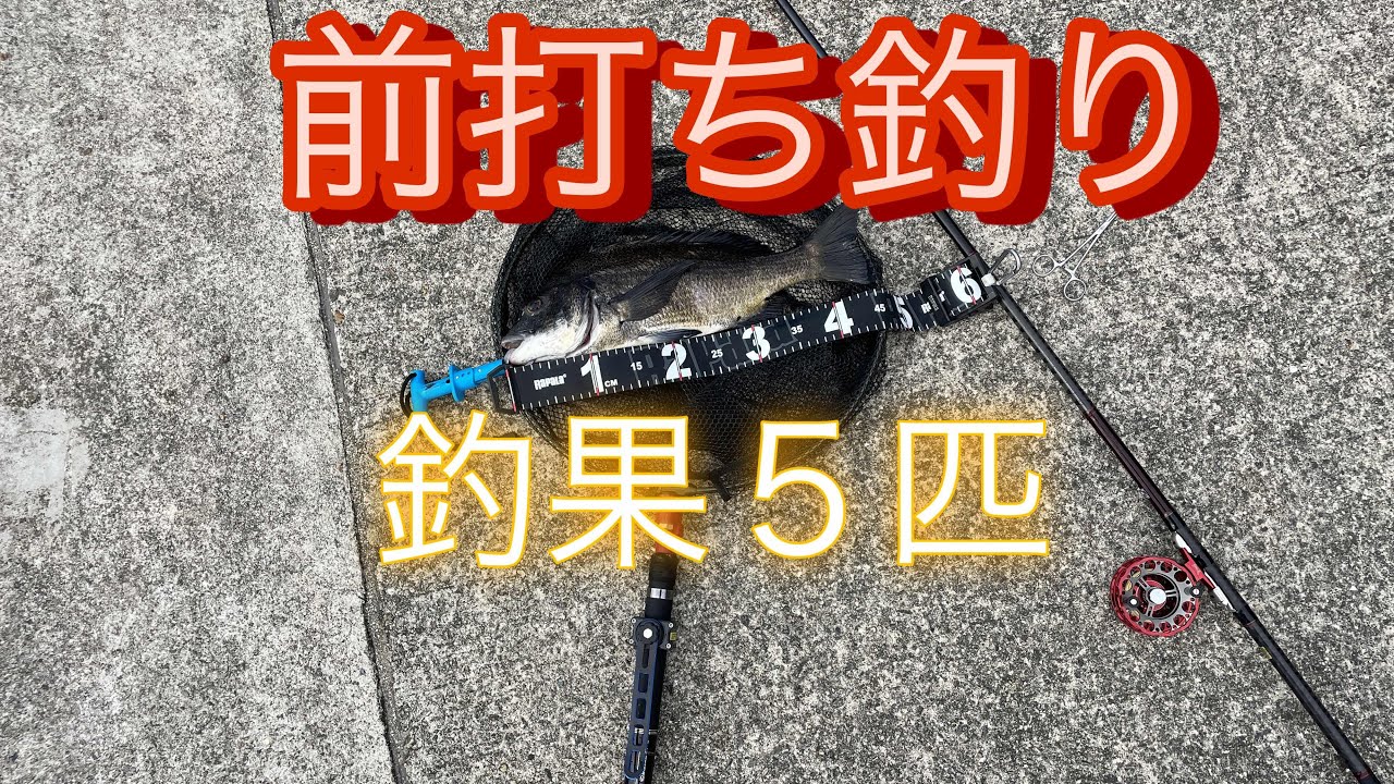 前打ち釣り、振り出し磯竿 - YouTube