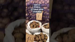 Одесса ❤ Привоз ❤ Оптовые цены на картошку, морковь и лук ❤ 21.08.2025 #ukraine #odessa