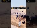 لیاریڈرامہ باز   