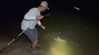 Iowa River Flathead Catfishing With Live Bait | New PB