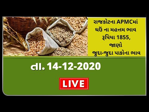 ગુજરાતની બધી જ APMCના તા.14-12--2020 દરેક પાકના ભાવ । TV9 NEWS