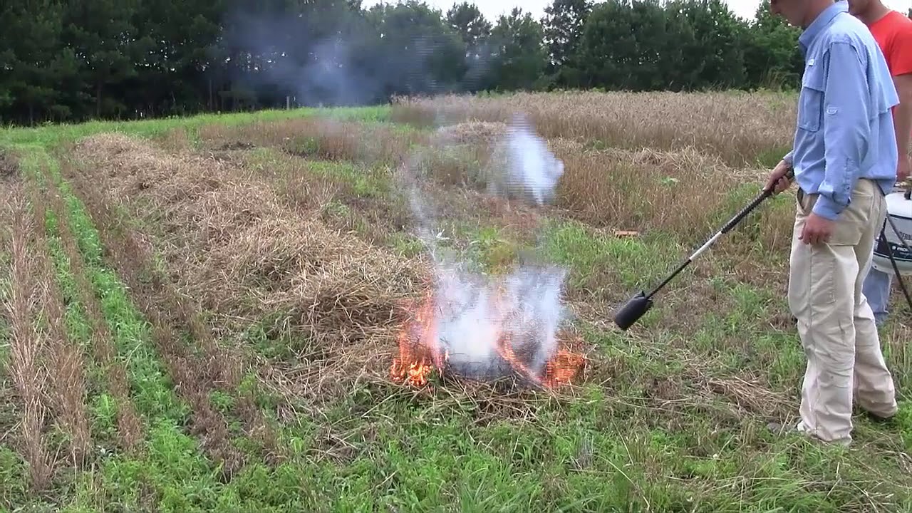 Harvest Weed Seed Control Youtube