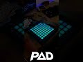 Whisk Dance / Guy in Blue Shirt Dancing on Launchpad