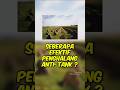 Seberapa efektif penghalang Anti-Tank? #shorts #Drachenzähne #Dragon'sTeeth #tank