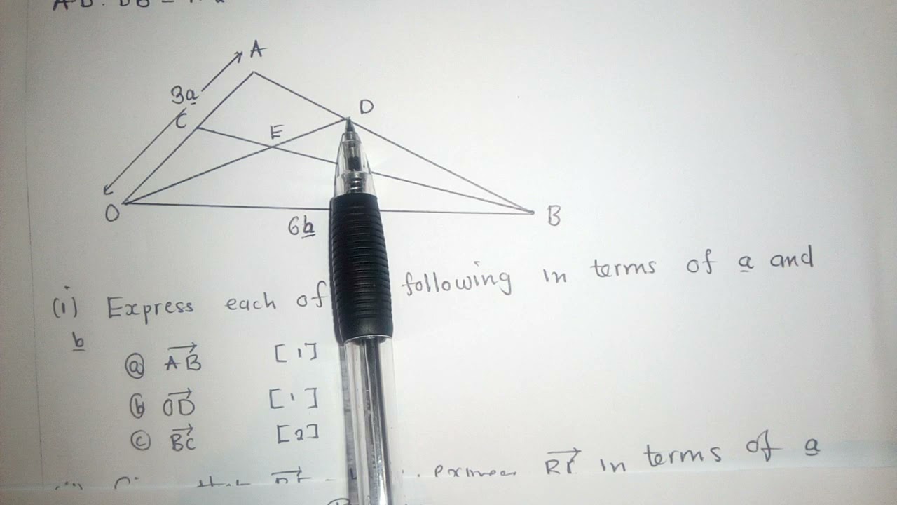 Vector 2019 exam question