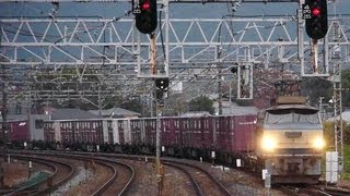 JRF JR貨物 EF66 37号機 ゼロロク 貨物列車 膳所通過 20091207