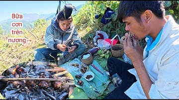 Bữa Cơm Trên Nương, Thăm Bẫy Thịt Rừng,Hặc Tây Bắc 