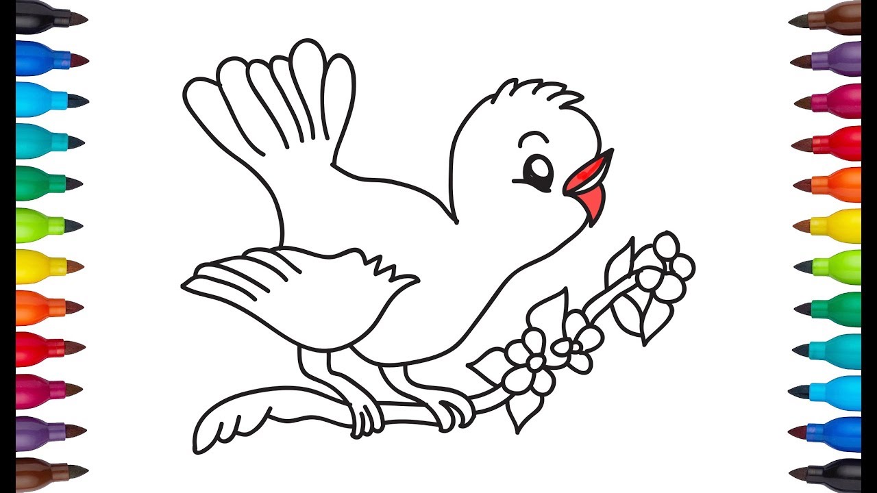 Featured image of post Bird Drawing With Colour For Kids This is also for funny colorful