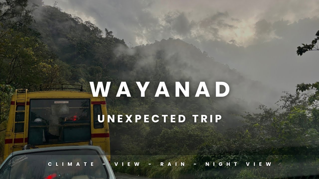 കോടറങ്ങിയിട്ടുണ്ട് ചുരത്തിൽ കാണാൻ പോയാലോ 🍃 #wayanad #unexpected #family 